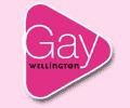 Gay Wellington Welfare Group